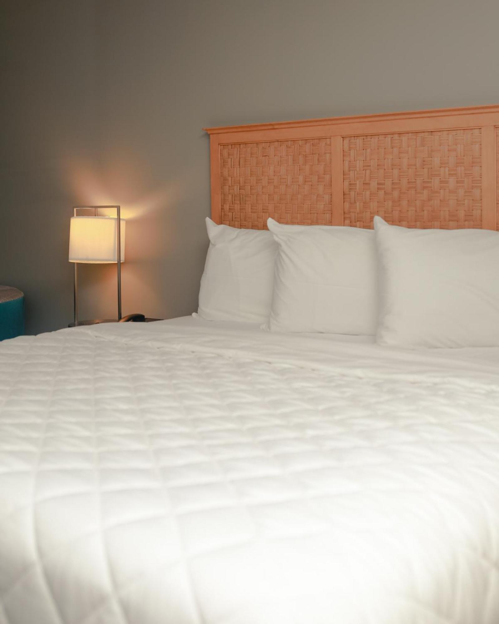 Southern Breeze Ocean Front Hotel Myrtle Beach Esterno foto